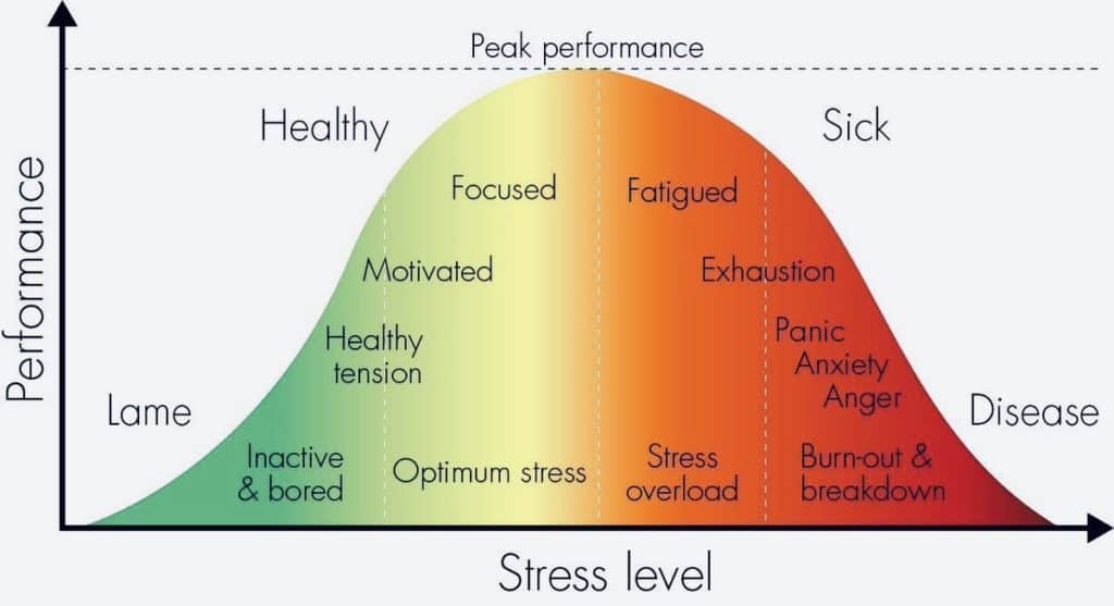 Comfort Zone Stress Levels