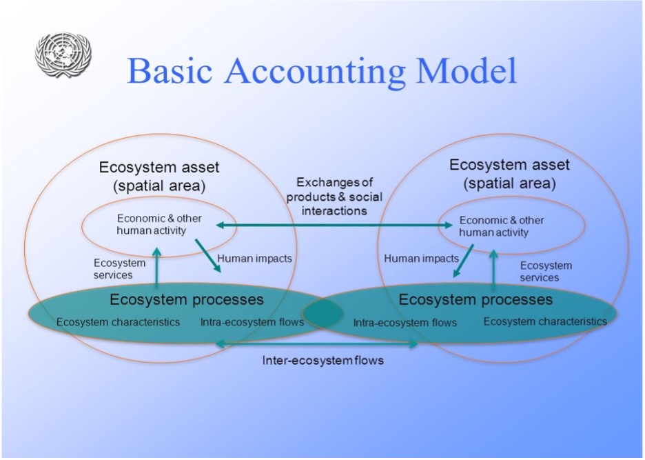 Facebook Meta Accounting Model